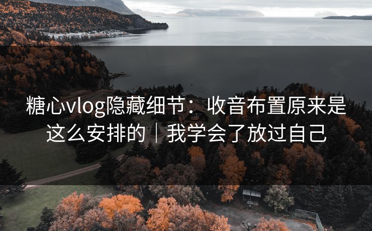 糖心vlog隐藏细节：收音布置原来是这么安排的｜我学会了放过自己