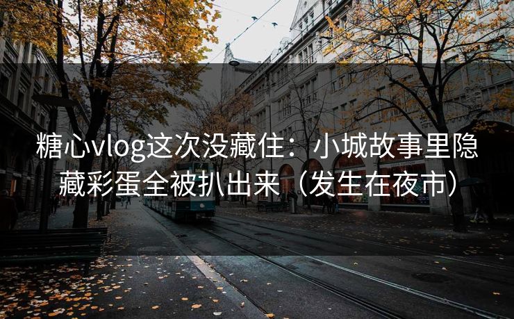 糖心vlog这次没藏住：小城故事里隐藏彩蛋全被扒出来（发生在夜市）