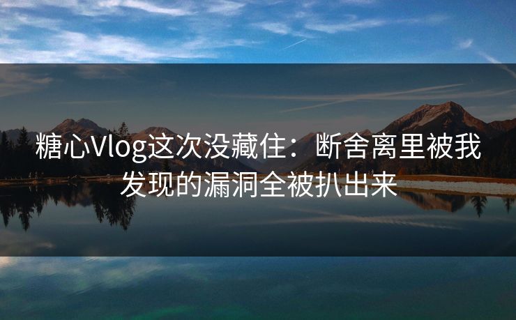 糖心Vlog这次没藏住：断舍离里被我发现的漏洞全被扒出来