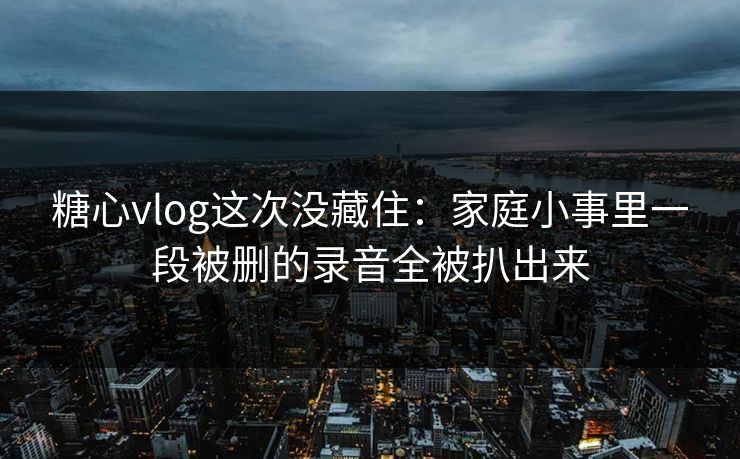 糖心vlog这次没藏住：家庭小事里一段被删的录音全被扒出来