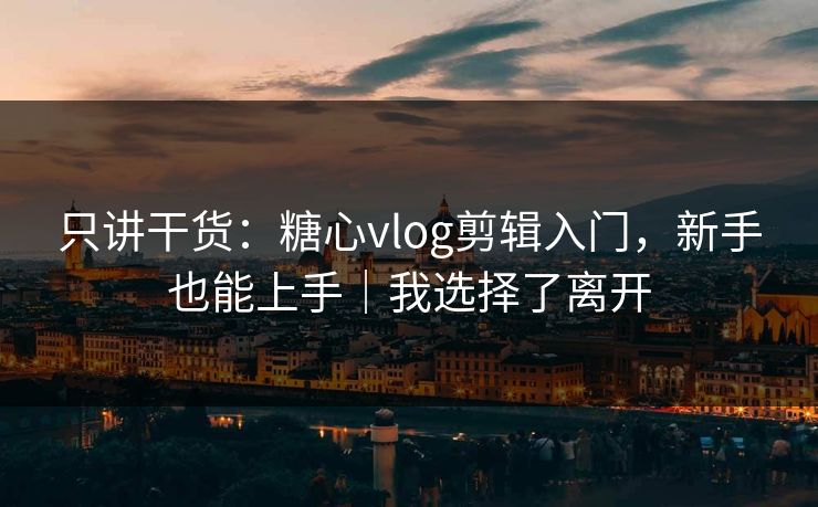 只讲干货：糖心vlog剪辑入门，新手也能上手｜我选择了离开