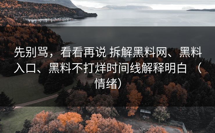 先别骂，看看再说 拆解黑料网、黑料入口、黑料不打烊时间线解释明白 （情绪）