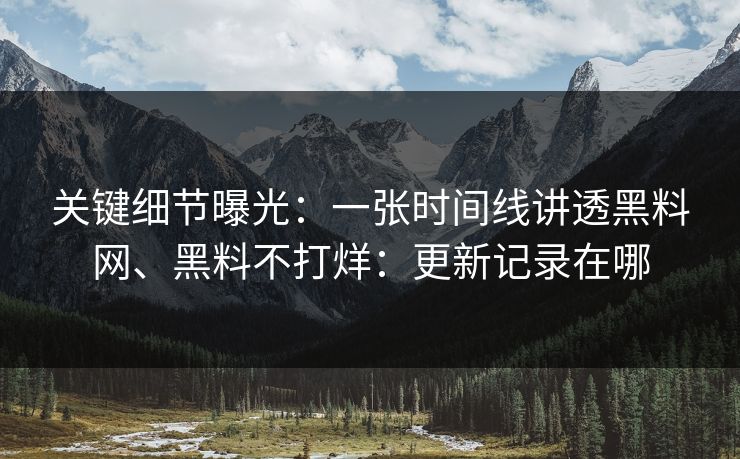 关键细节曝光：一张时间线讲透黑料网、黑料不打烊：更新记录在哪