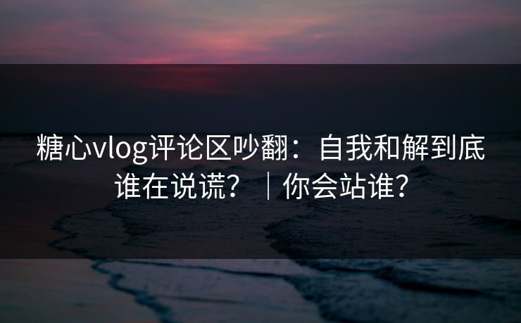 糖心vlog评论区吵翻：自我和解到底谁在说谎？｜你会站谁？