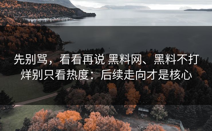 先别骂，看看再说 黑料网、黑料不打烊别只看热度：后续走向才是核心