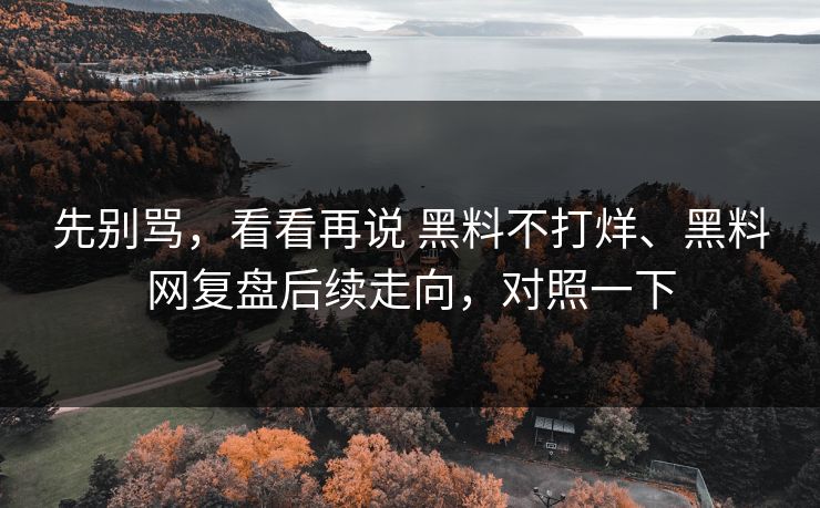 先别骂，看看再说 黑料不打烊、黑料网复盘后续走向，对照一下