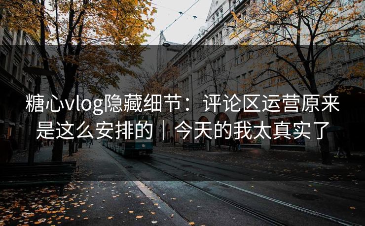 糖心vlog隐藏细节：评论区运营原来是这么安排的｜今天的我太真实了