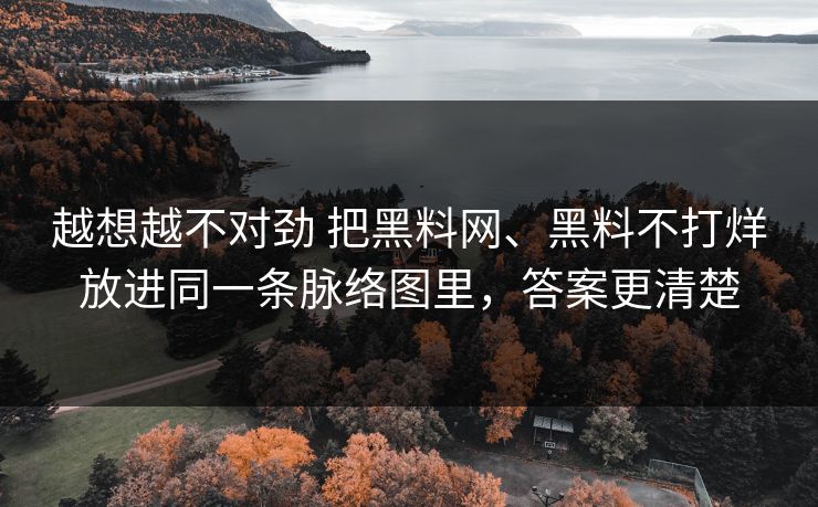 越想越不对劲 把黑料网、黑料不打烊放进同一条脉络图里，答案更清楚